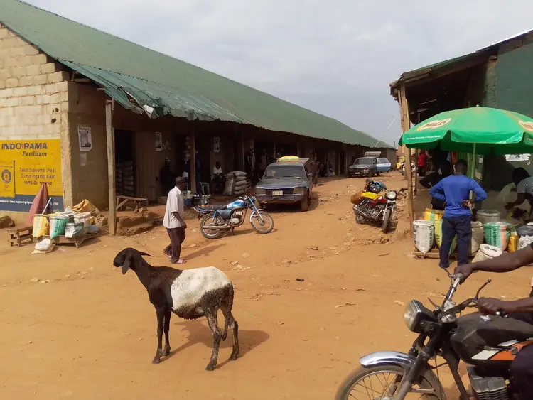 MANGU MARKET (Lutuk) Fertilizer section on an ordinary day