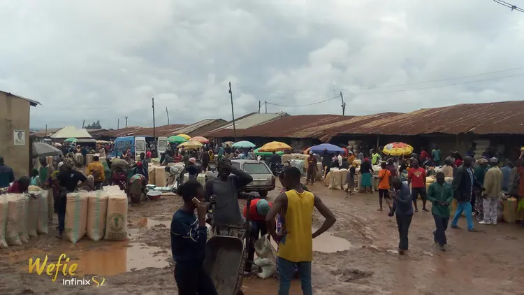 MANGU MARKET (Lutuk) Maize Market