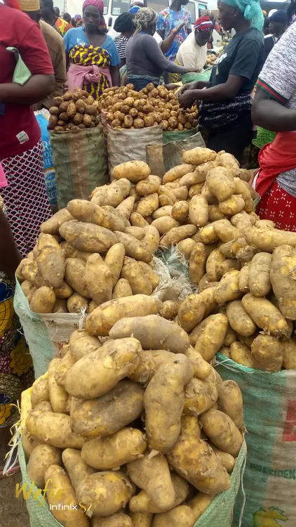 MANGU MARKET (Lutuk) Potato Market
